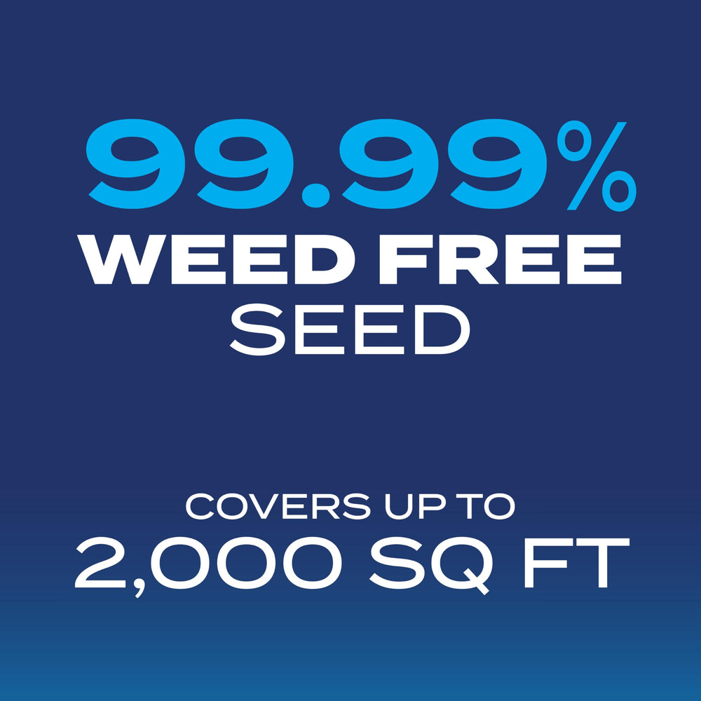 Healthy lawn grown from Scotts Drought Tolerant Grass Seed