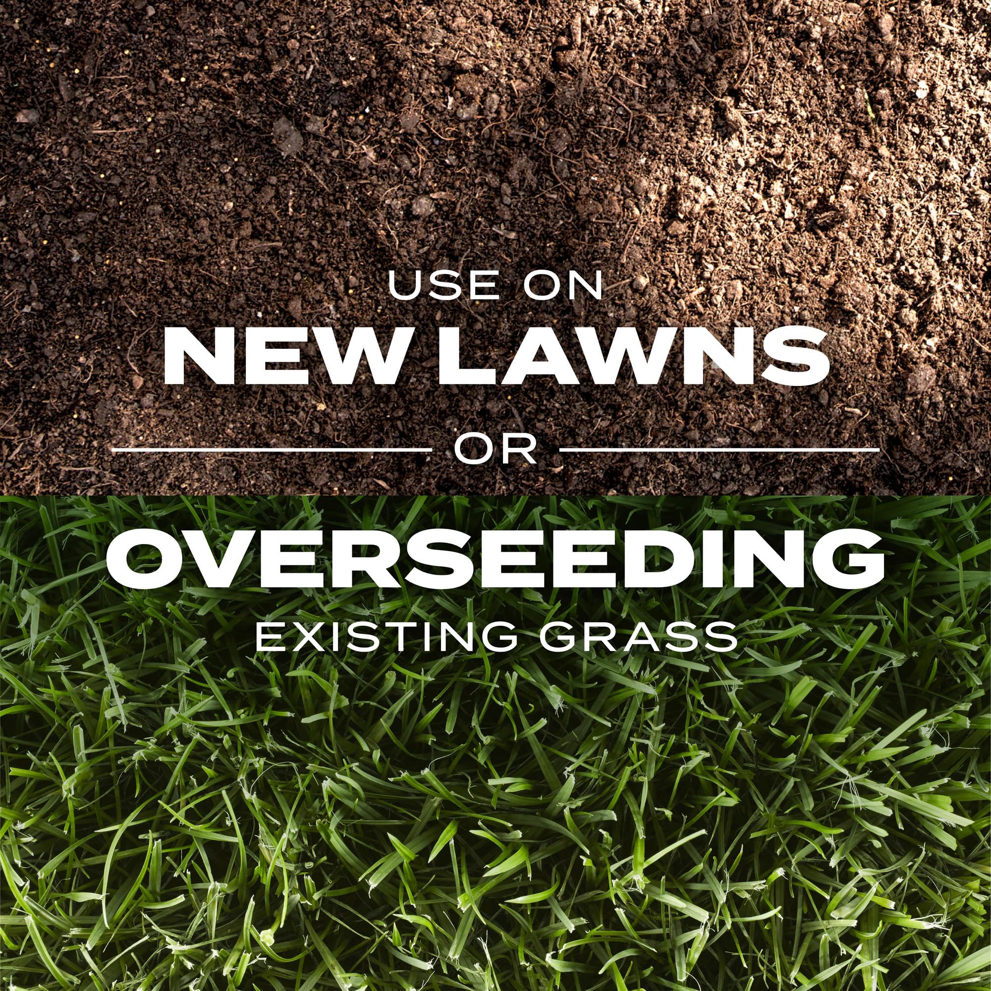 Healthy lawn grown with Scotts Turf Builder Rapid Grass