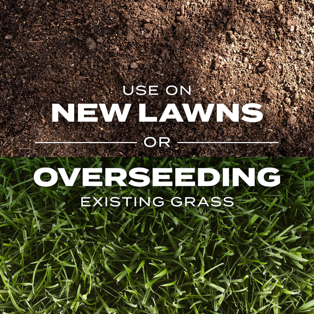 Healthy lawn grown with Scotts Turf Builder Rapid Grass