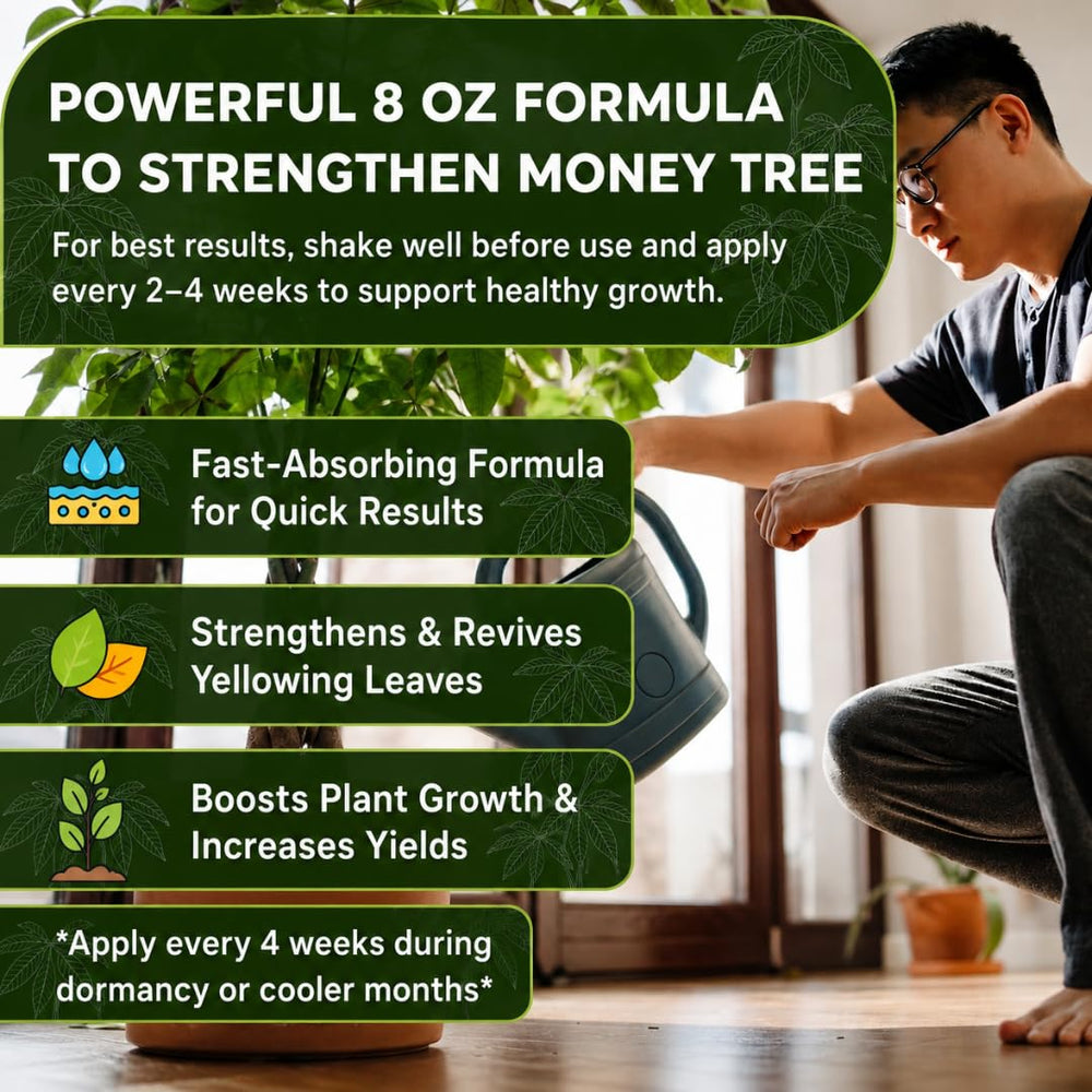 Healthy money tree plant thriving with Leaves and Soul fertilizer