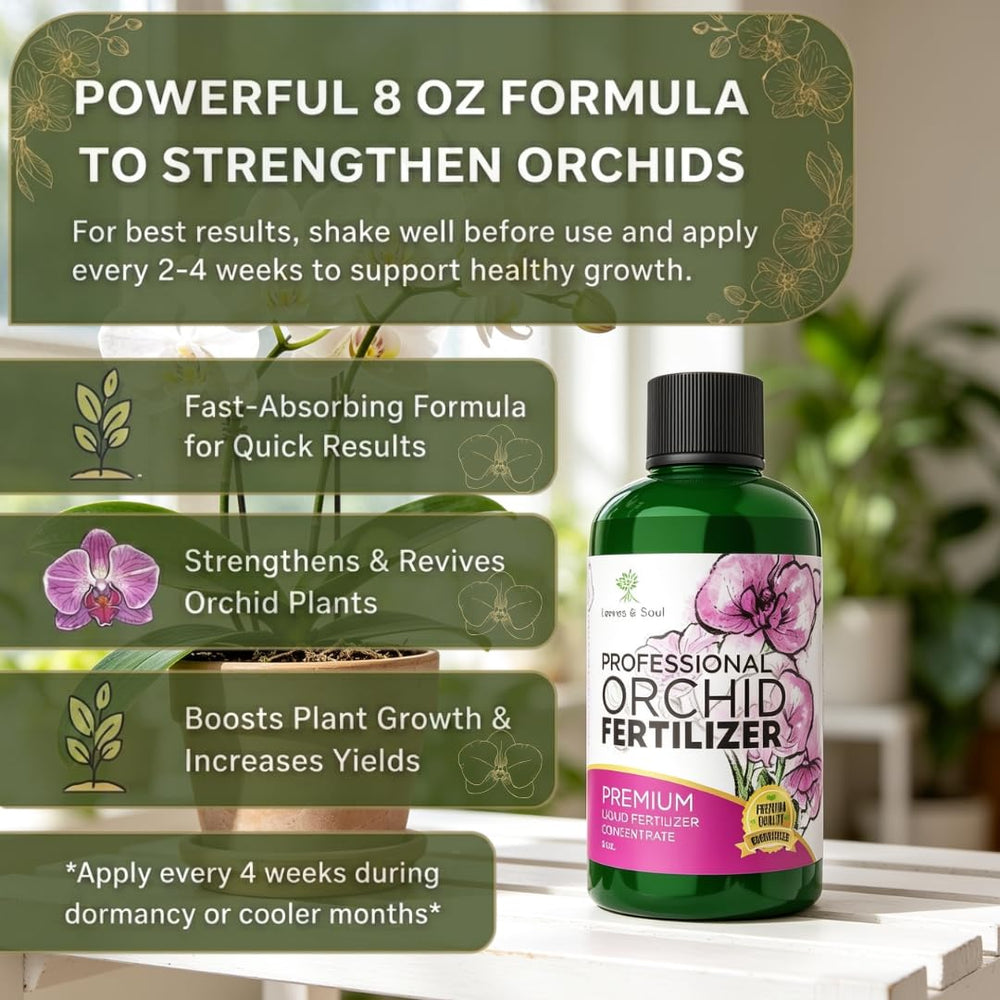 Healthy orchids after using Leaves and Soul Fertilizer