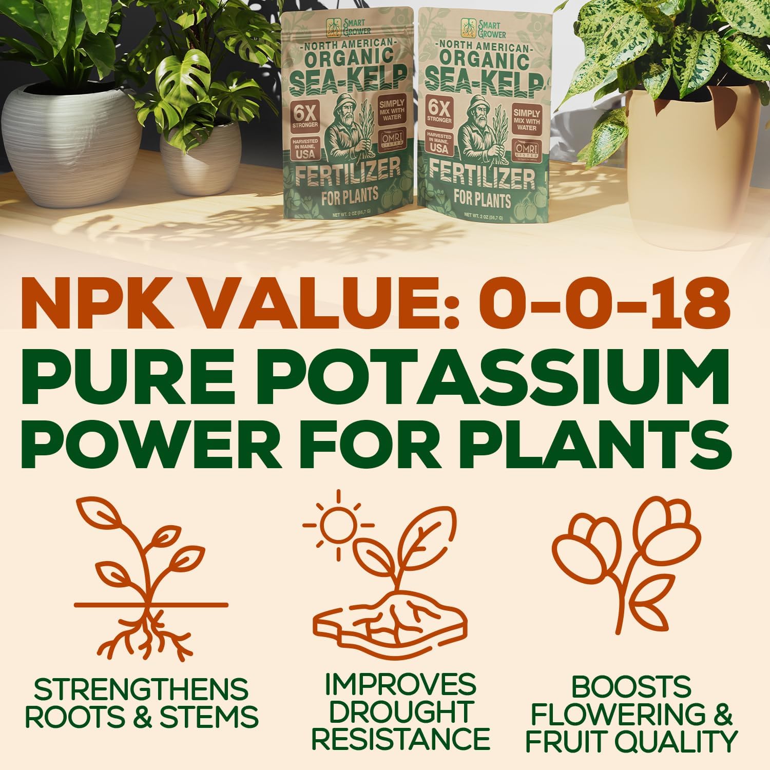 Healthy plants after using Smart Grower Sea-Kelp Fertilizer