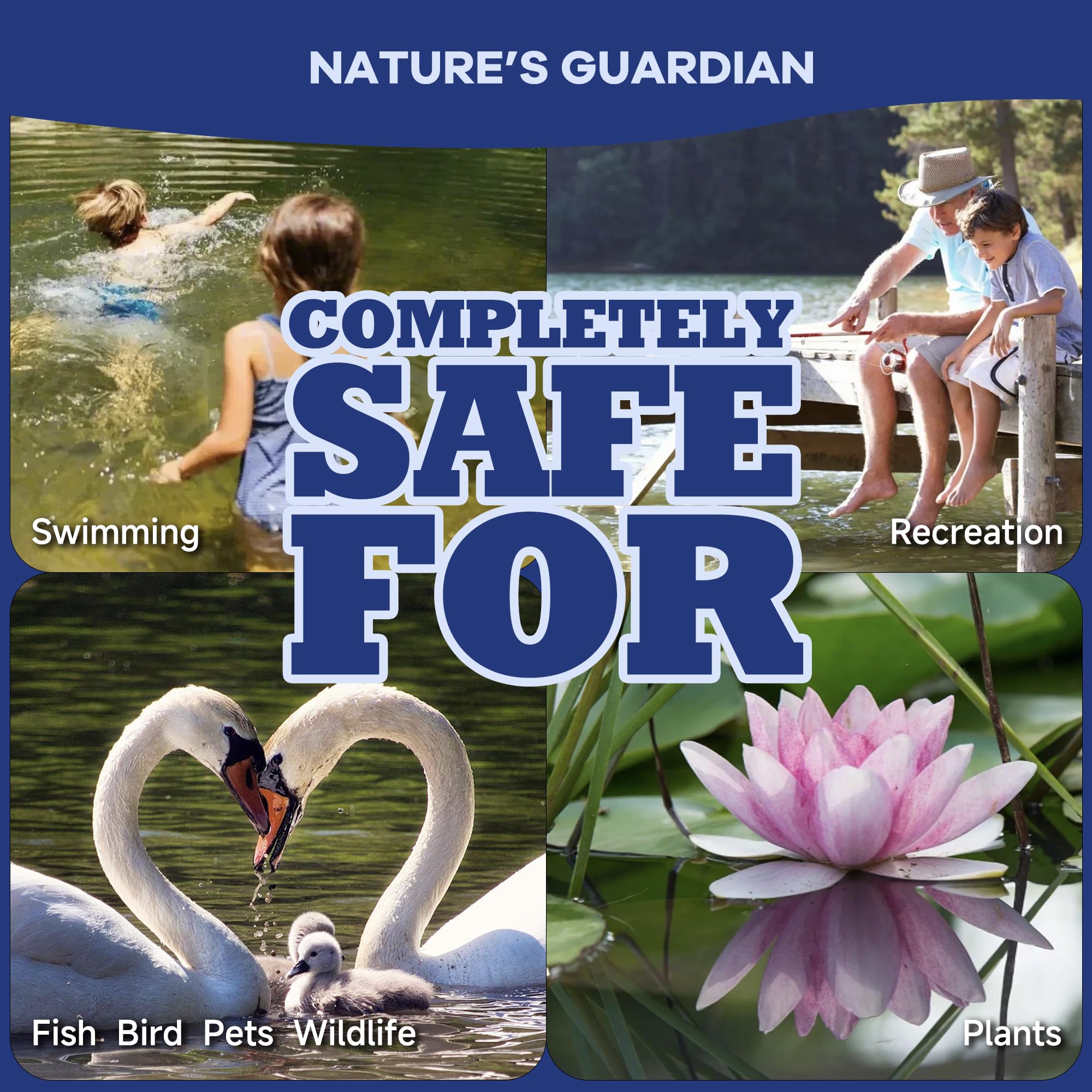 Healthy pond environment with clear water