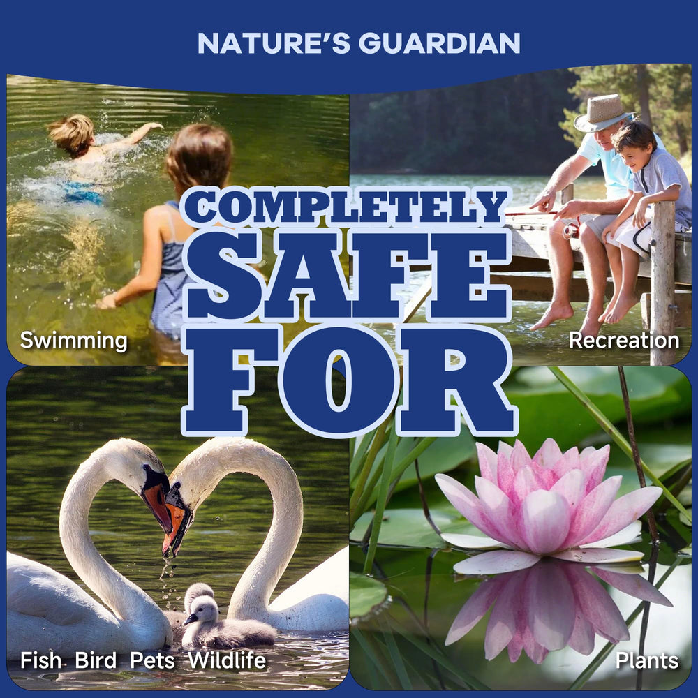 Healthy pond environment with clear water