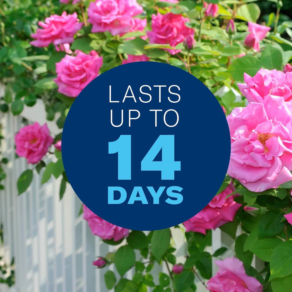 Healthy roses cared for with BioAdvanced plant care concentrate.