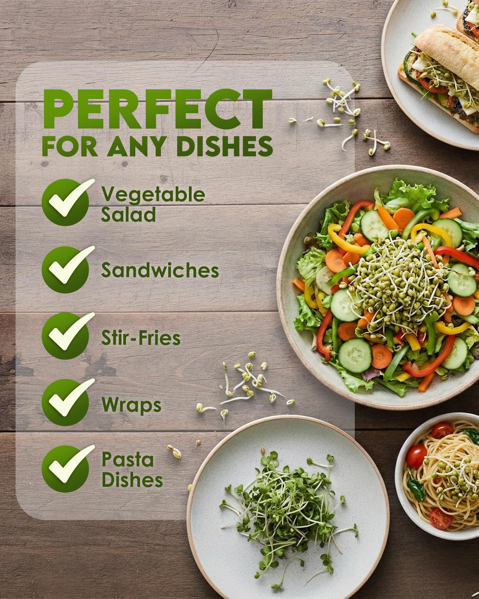 Healthy salad with mung bean sprouts