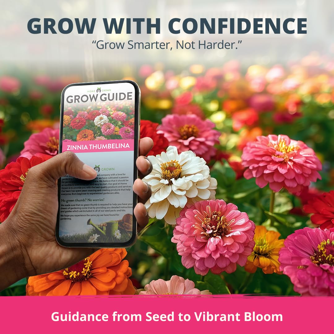 Healthy Thumbelina Dwarf Zinnias attracting pollinators