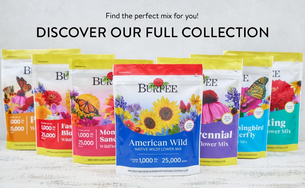 Healthy wildflowers blooming in a garden after planting Burpee seeds