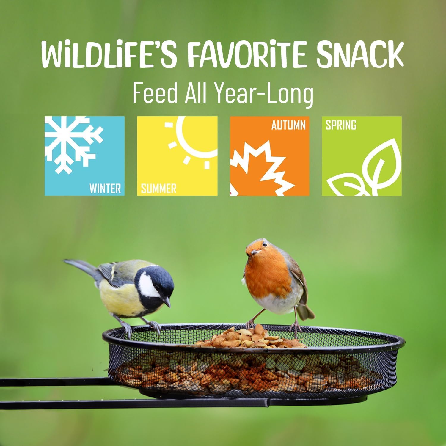 Healthy wildlife enjoying Sneaky Mango peanuts