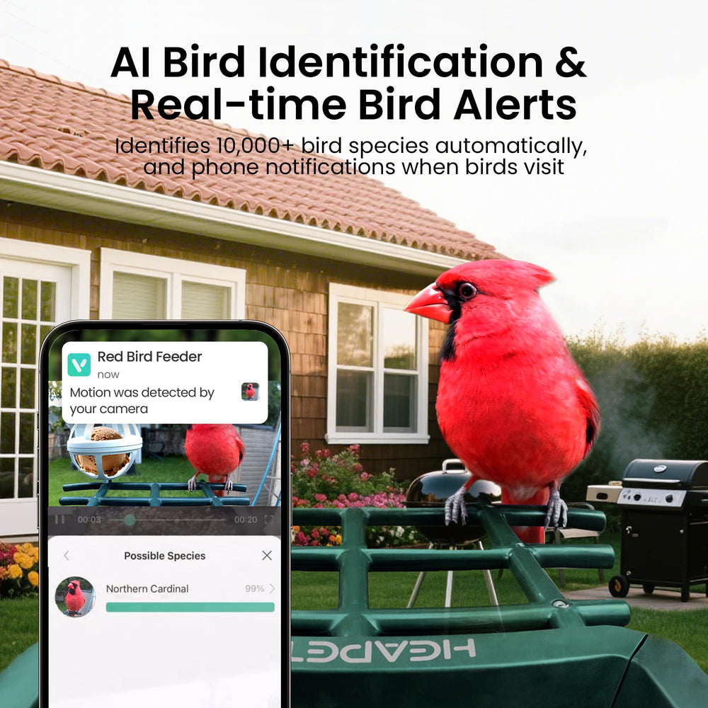 HEAPETS Smart Bird Feeder mounted on a tree