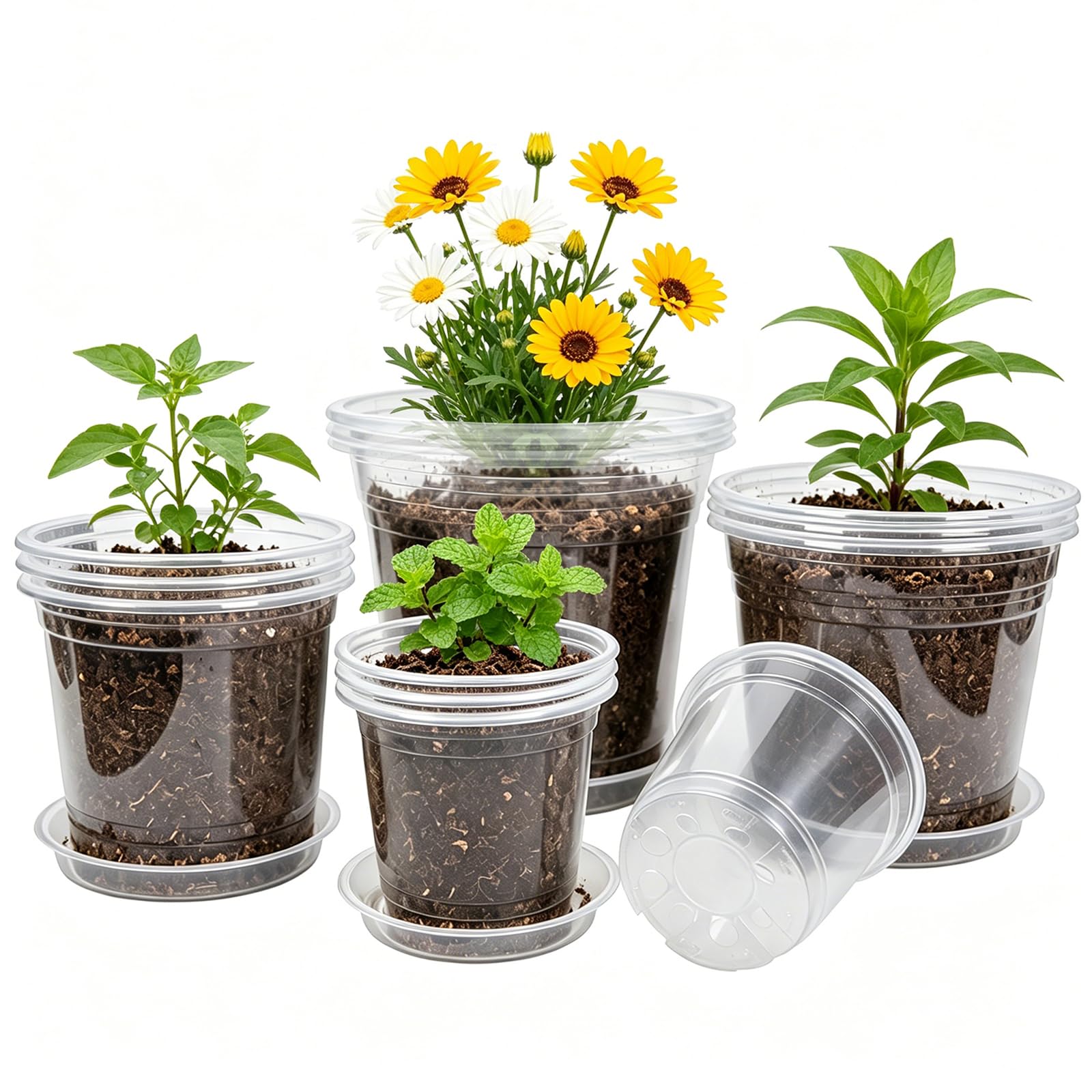Hemikaki 20 Pack Clear Plastic Nursery Pots with saucers