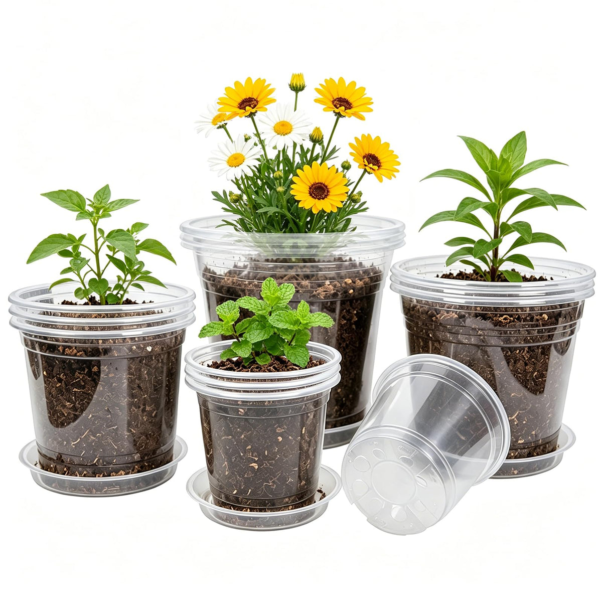 Hemikaki 20 Pack Clear Plastic Nursery Pots with saucers