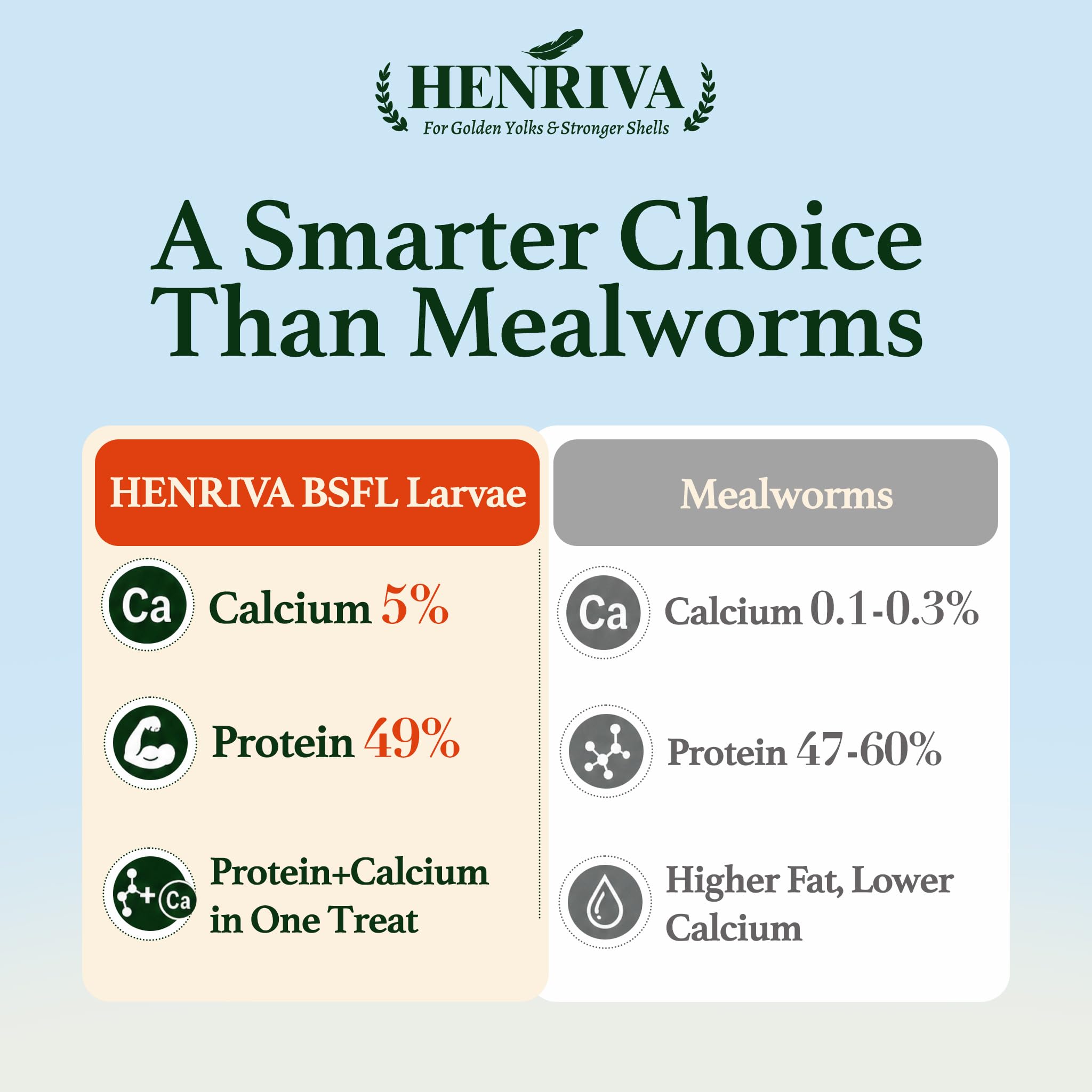 henriva 10LB Dried Black Soldier Fly Larvae in a feeding bowl