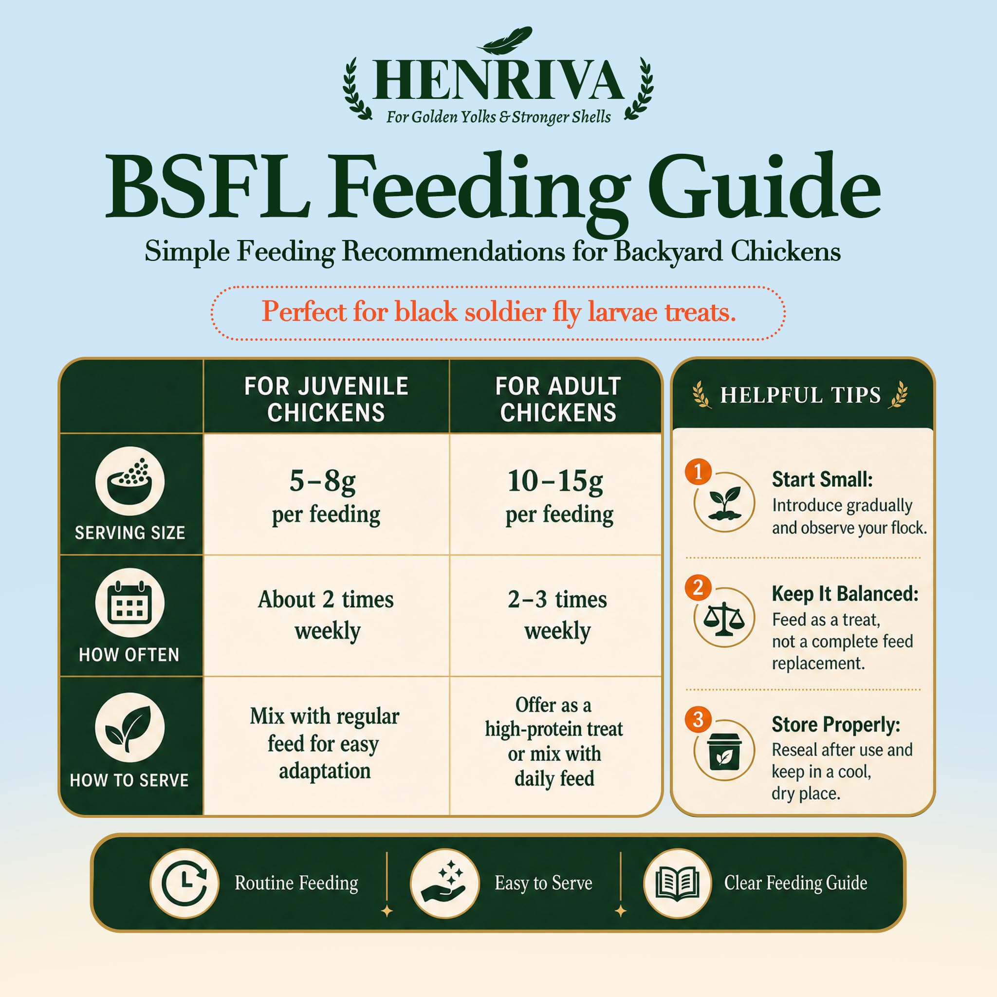 henriva black soldier fly larvae for backyard poultry
