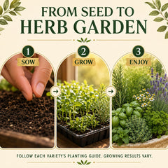 Herb garden setup with packets and planting instructions
