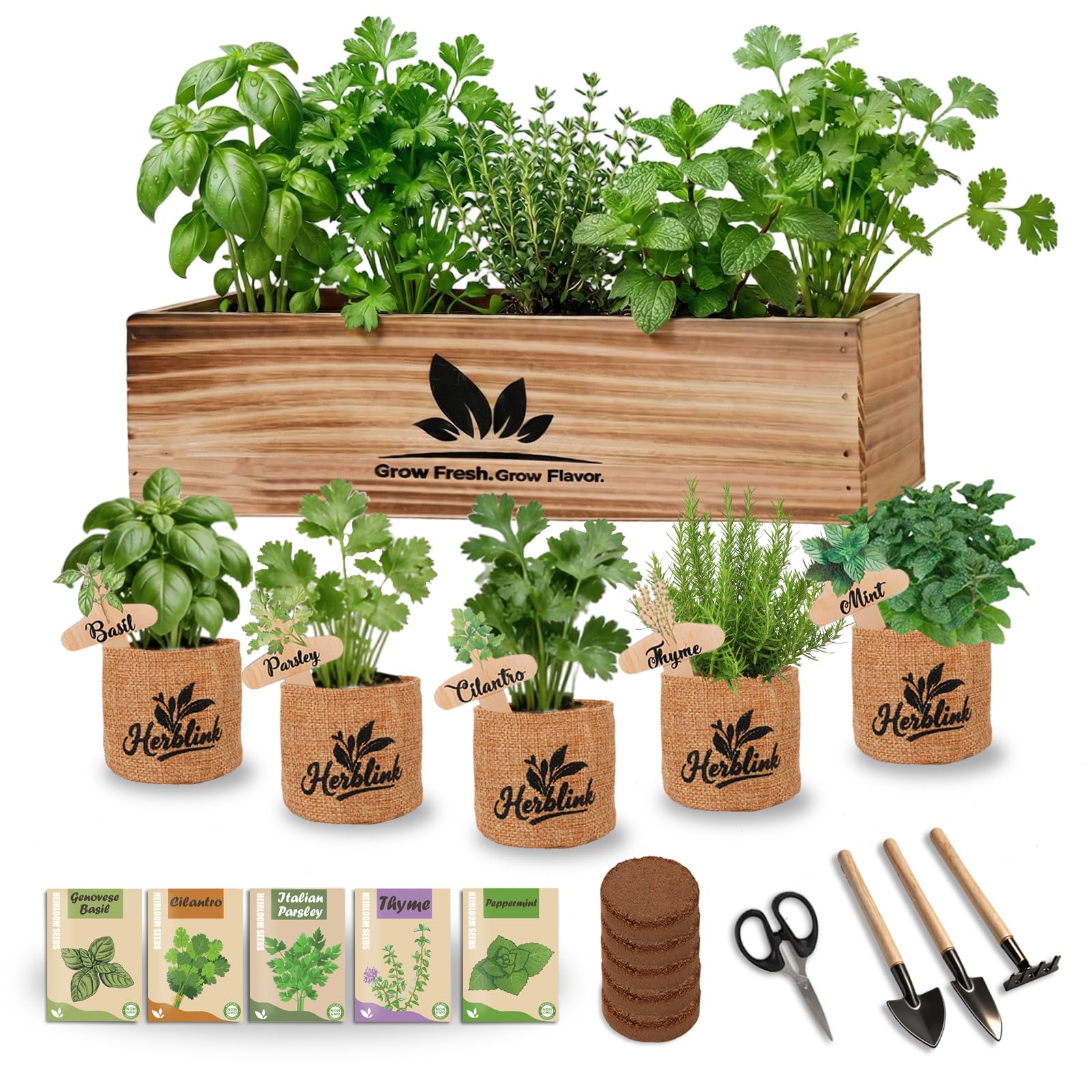 Herblink Indoor Herb Garden Starter Kit with wooden planter box