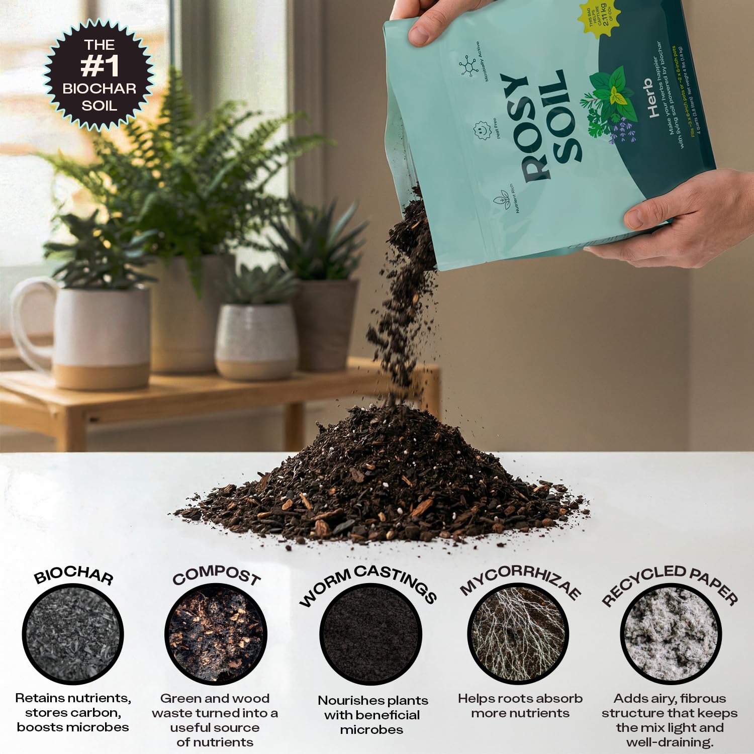 Herbs growing in Rosy Soil potting mix