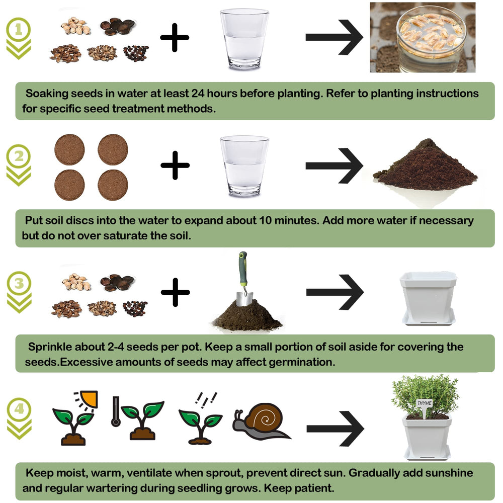 Herbs growing in the self-watering pots