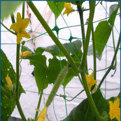 HHTHH Green Trellis Netting 4x100 ft rolled up