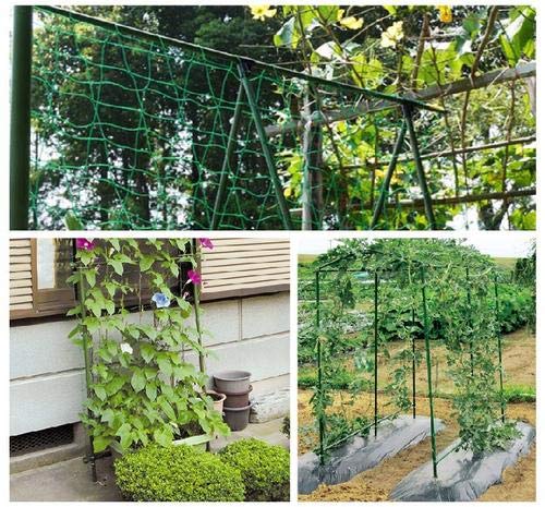 HHTHH Green Trellis Netting 4x100 ft with climbing plants