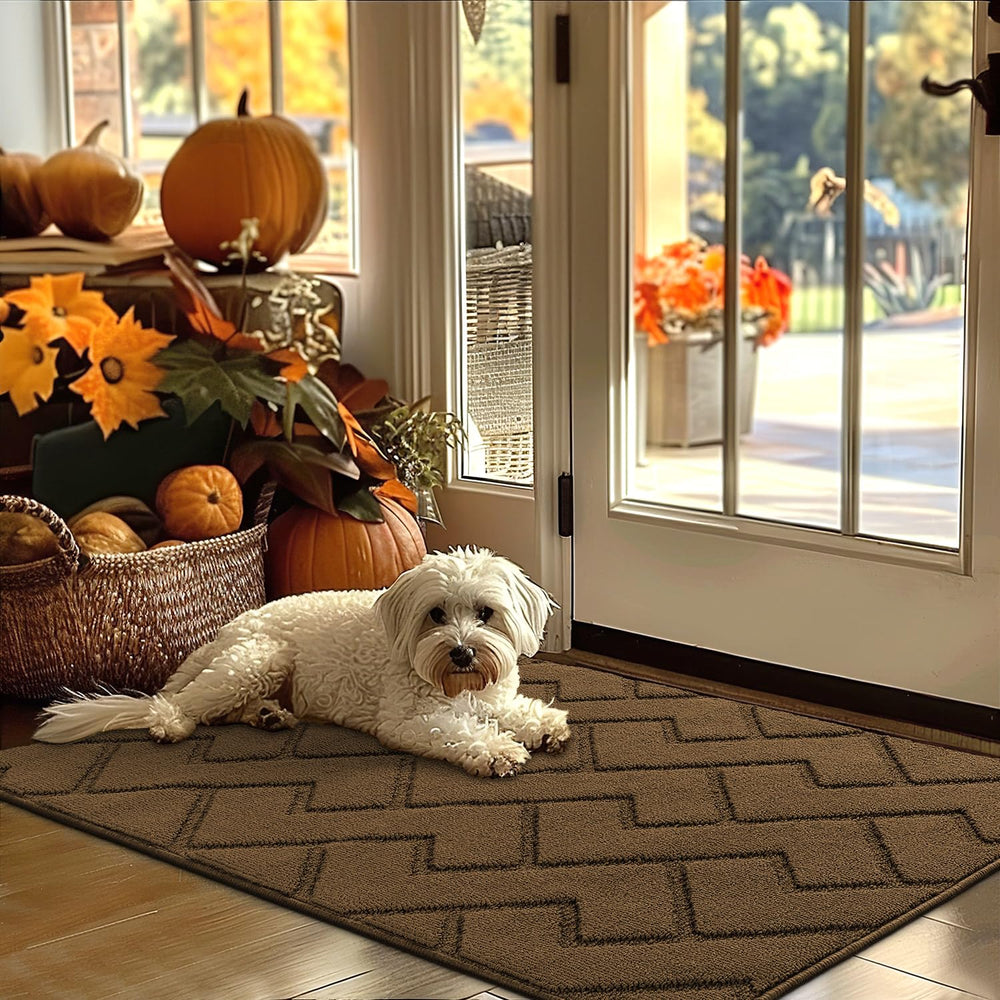 hicorfe Indoor Door Mat 32x48 dark brown front view