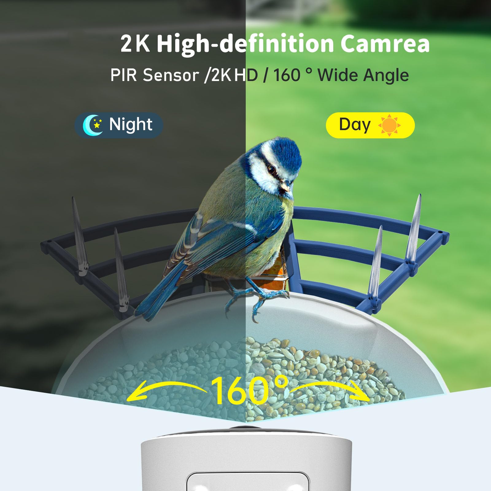 High-definition video capture from the NAVFS bird feeder