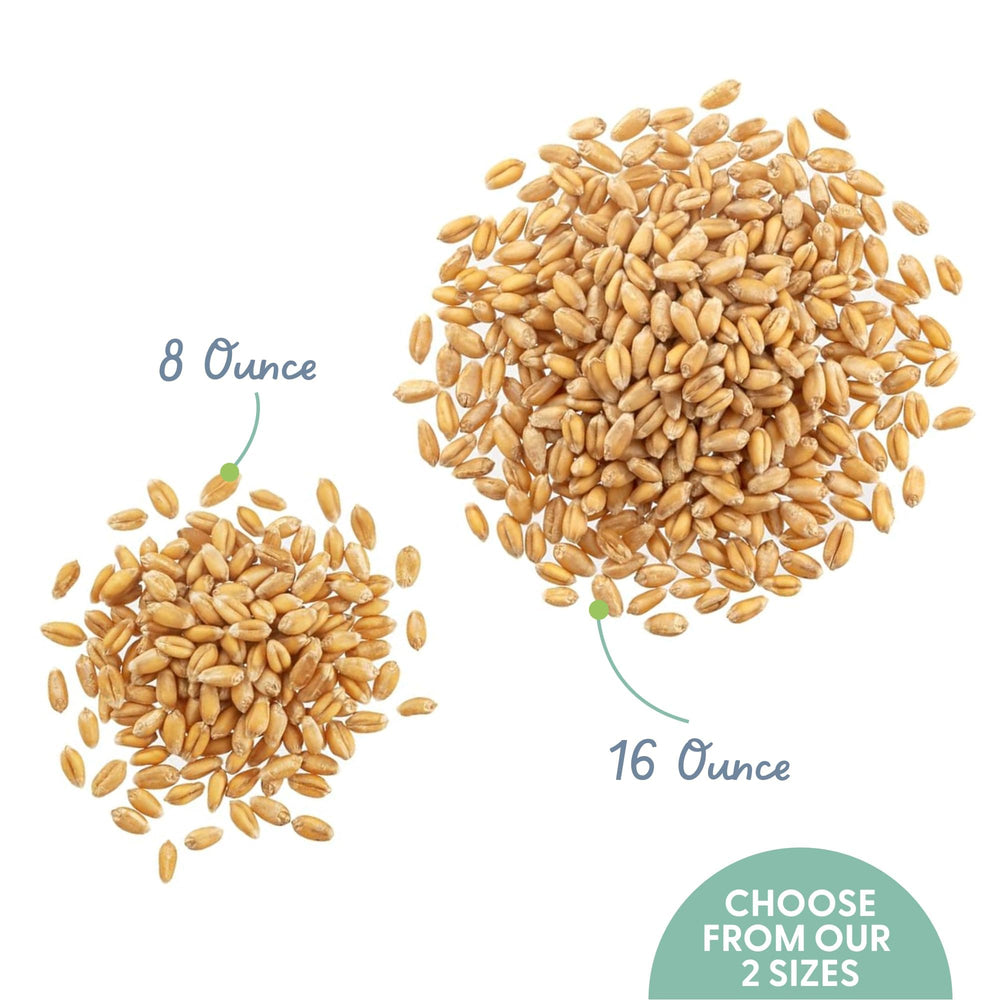 High-quality wheat grass blend in a resealable bag