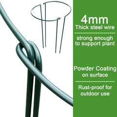HiGift plant stakes supporting roses in a garden