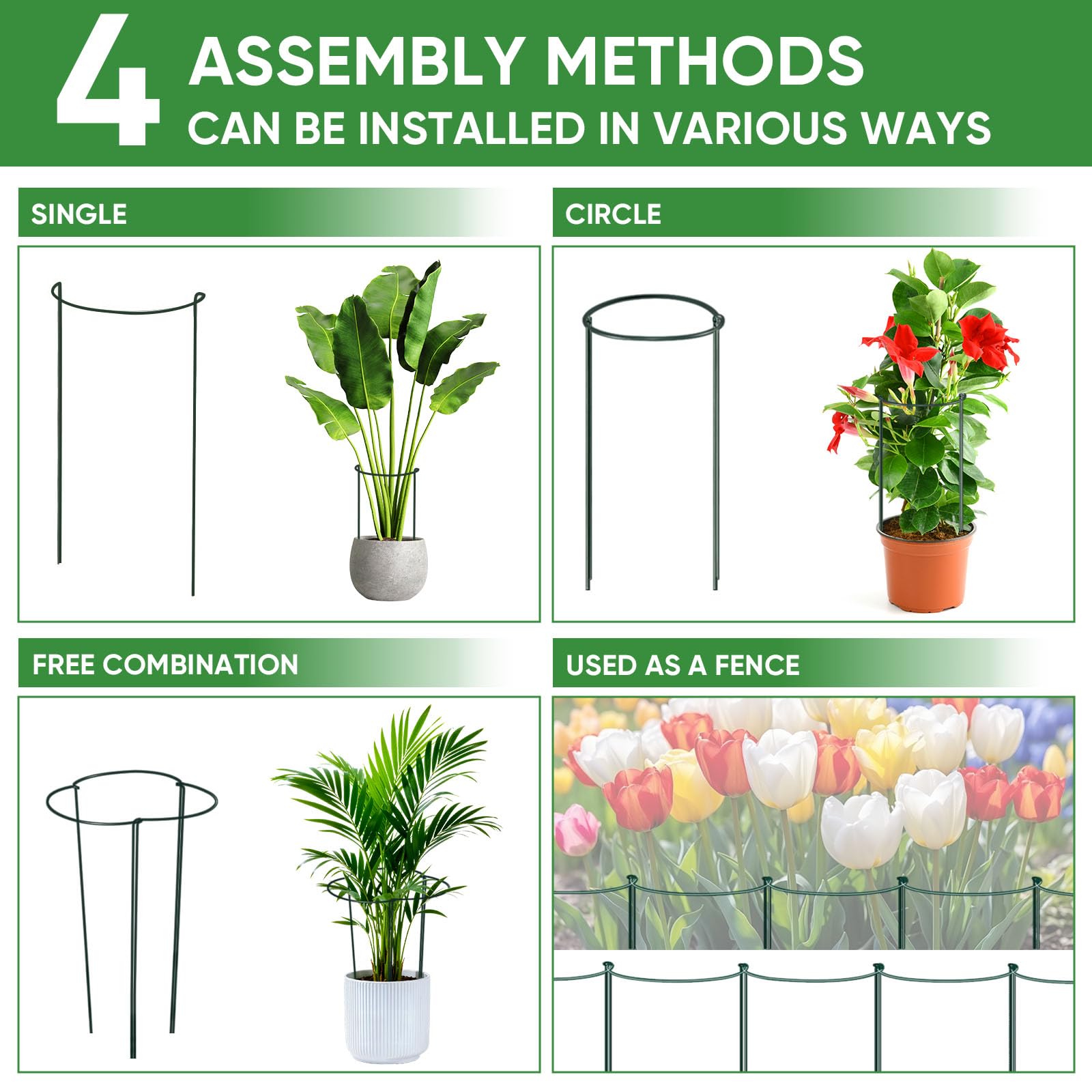 HiGift plant support stake beside a peony plant for size reference