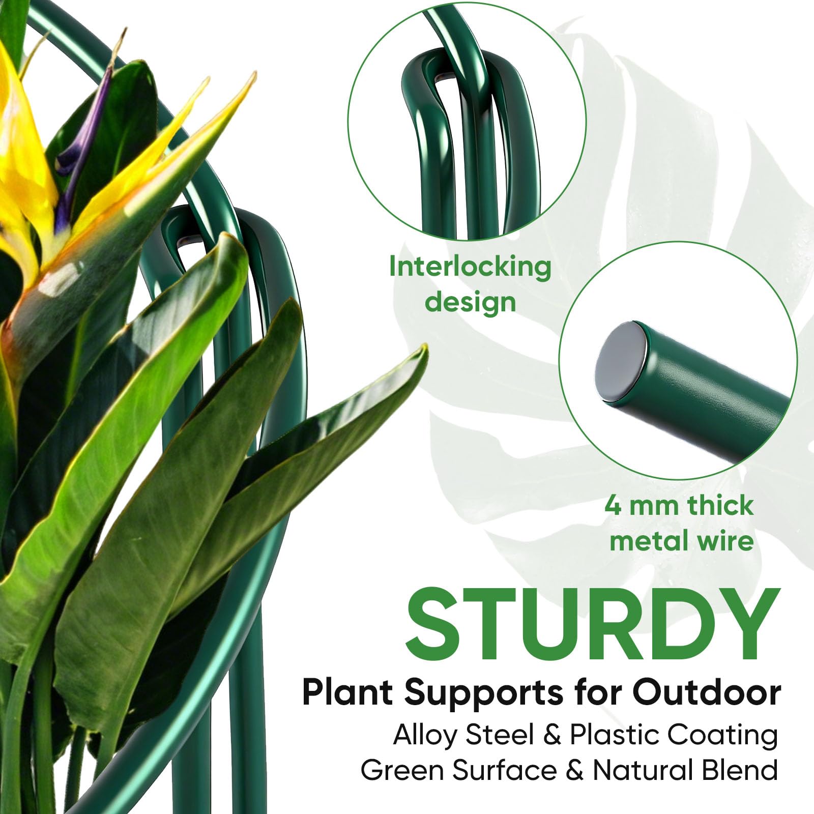 HiGift plant support stake half round design fitting around plants