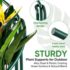 HiGift plant support stake half round design fitting around plants