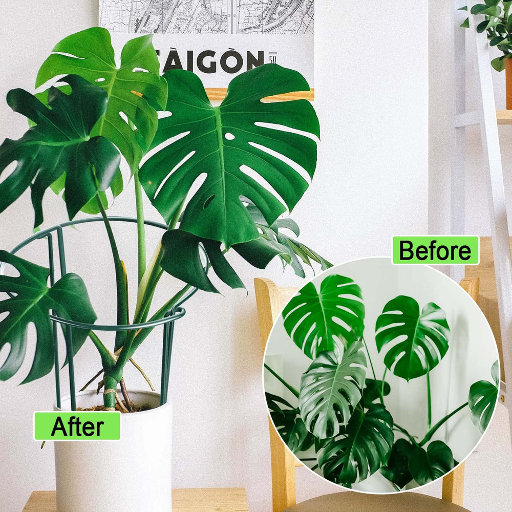 HiGift Plant Support Stakes assembled around tall plants