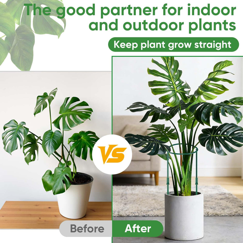 HiGift plant support stakes holding up peony plants