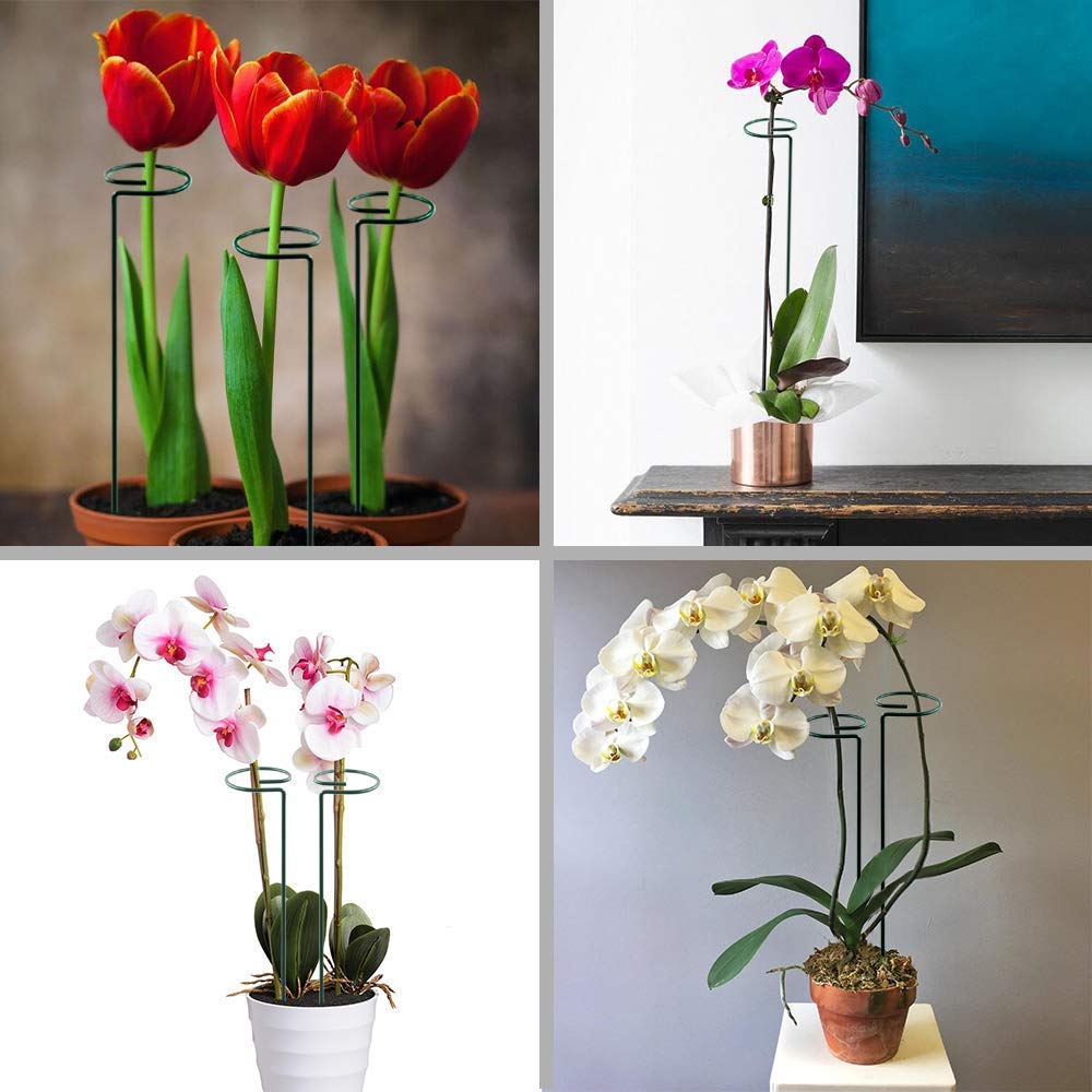 HiGift Plant Support Stakes packaging display