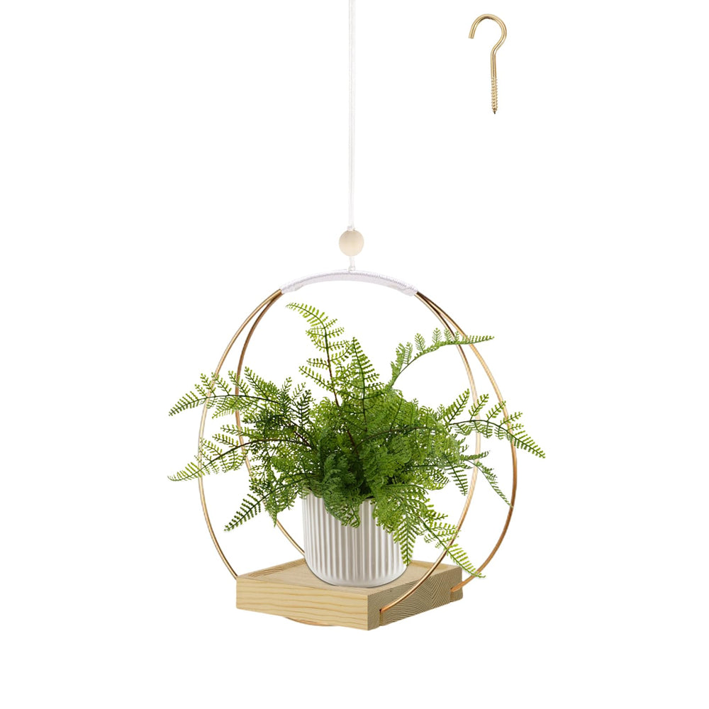 hismocal Hanging Planter front view with black wood base