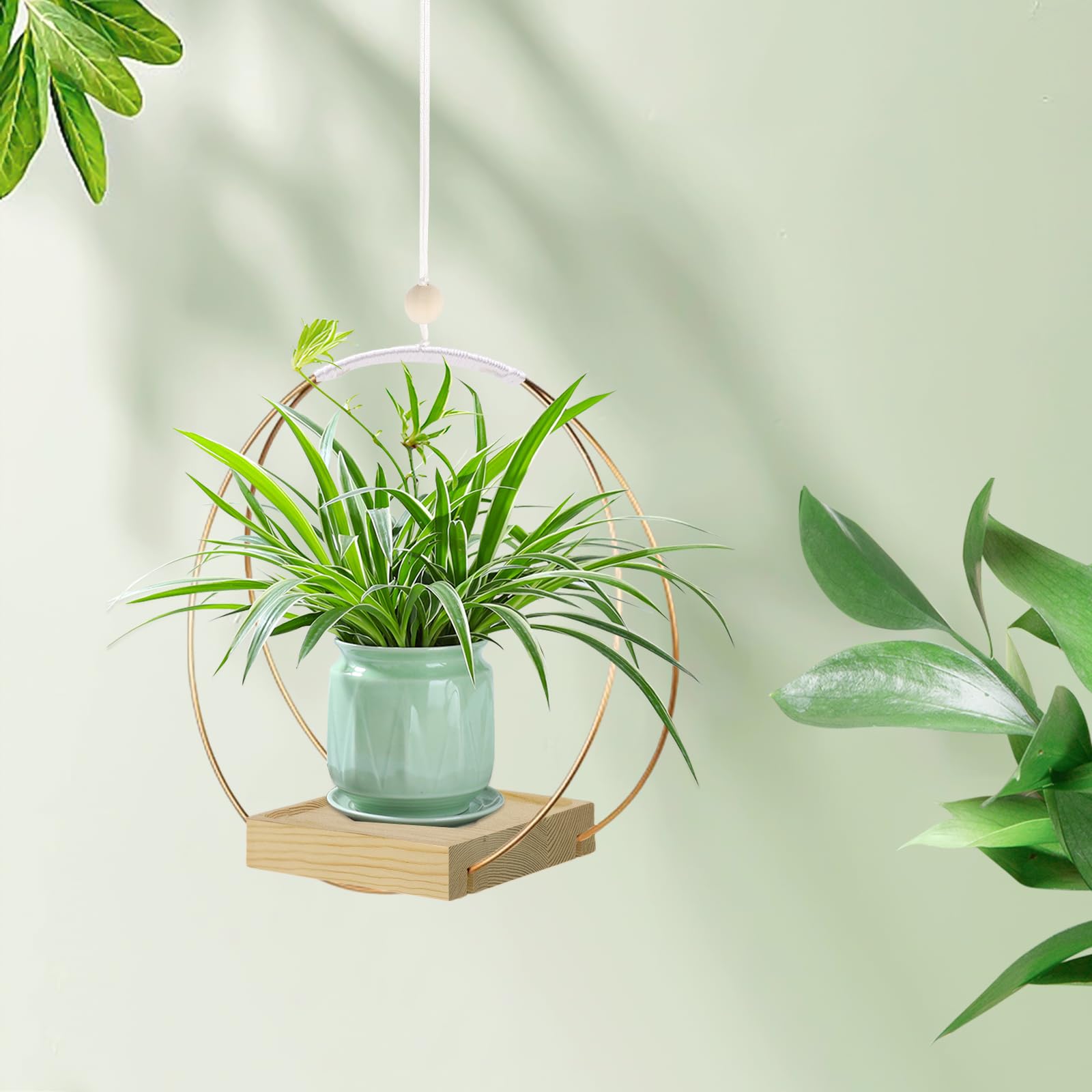 hismocal Hanging Planter in a modern living room setting