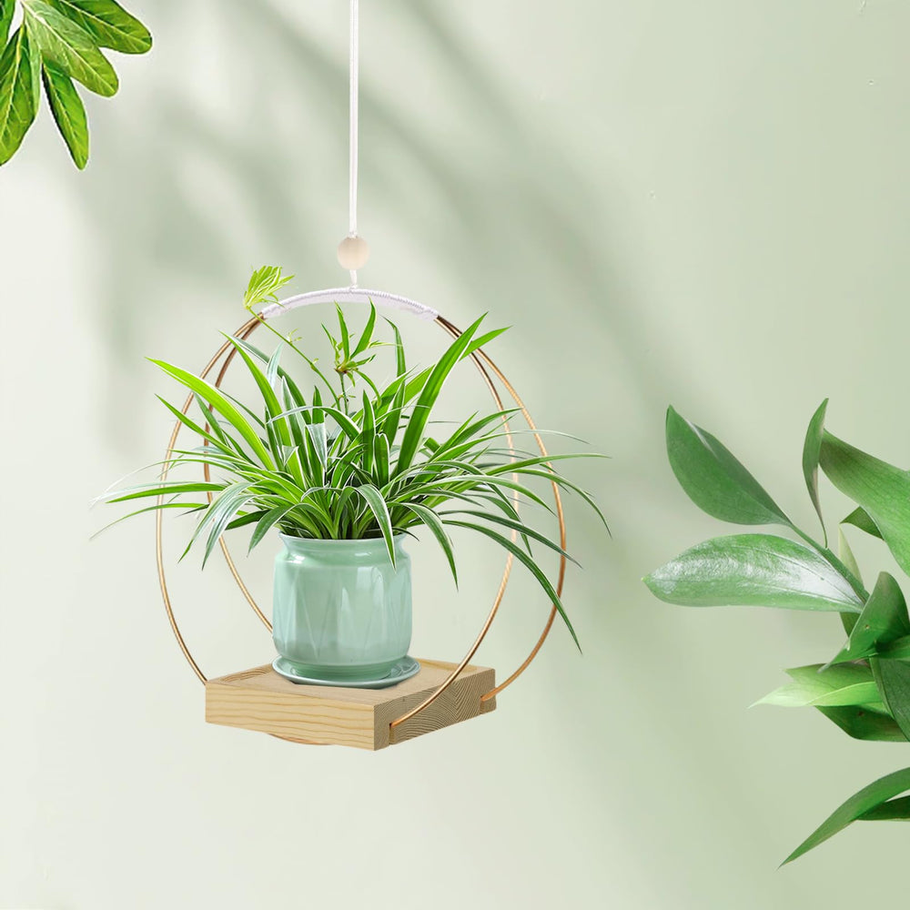 hismocal Hanging Planter in a modern living room setting