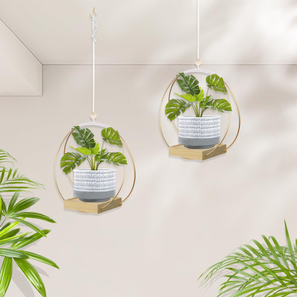 hismocal Hanging Planter in a stylish home setting
