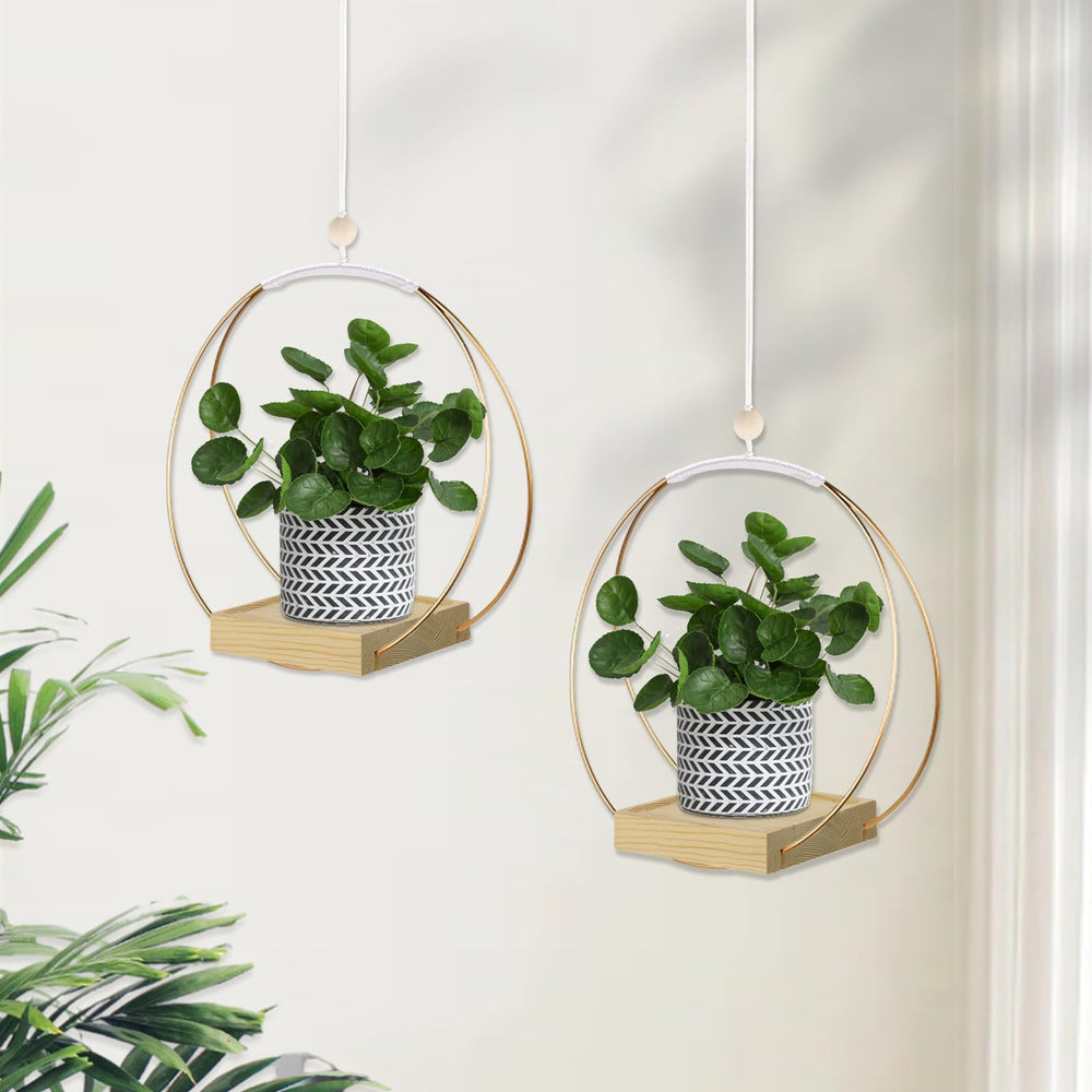 hismocal Hanging Planter side view showcasing wood base