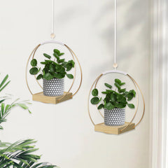 hismocal Hanging Planter side view showcasing wood base