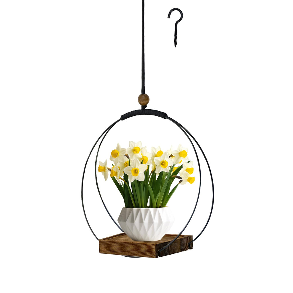 hismocal hanging planter with decorative indoor plants