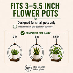 hismocal hanging planter with indoor plant display