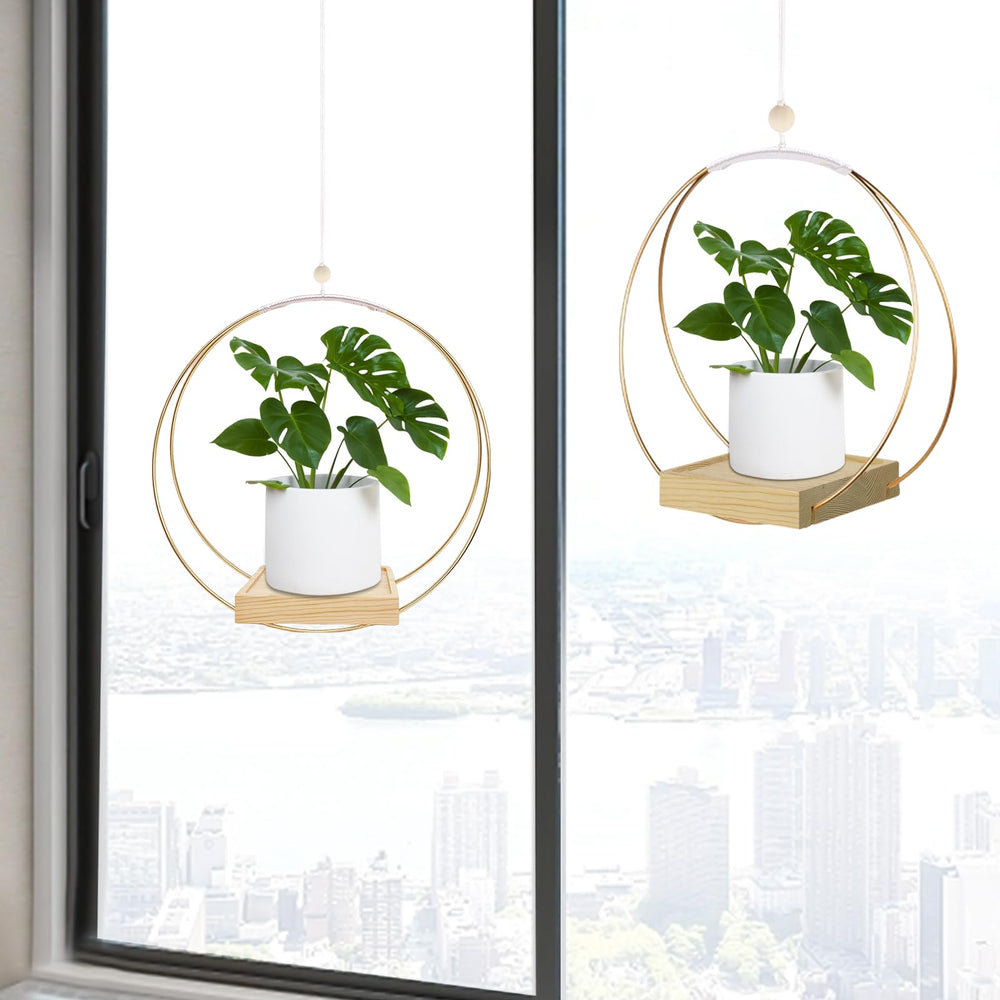 hismocal Hanging Planter with plants for illustration