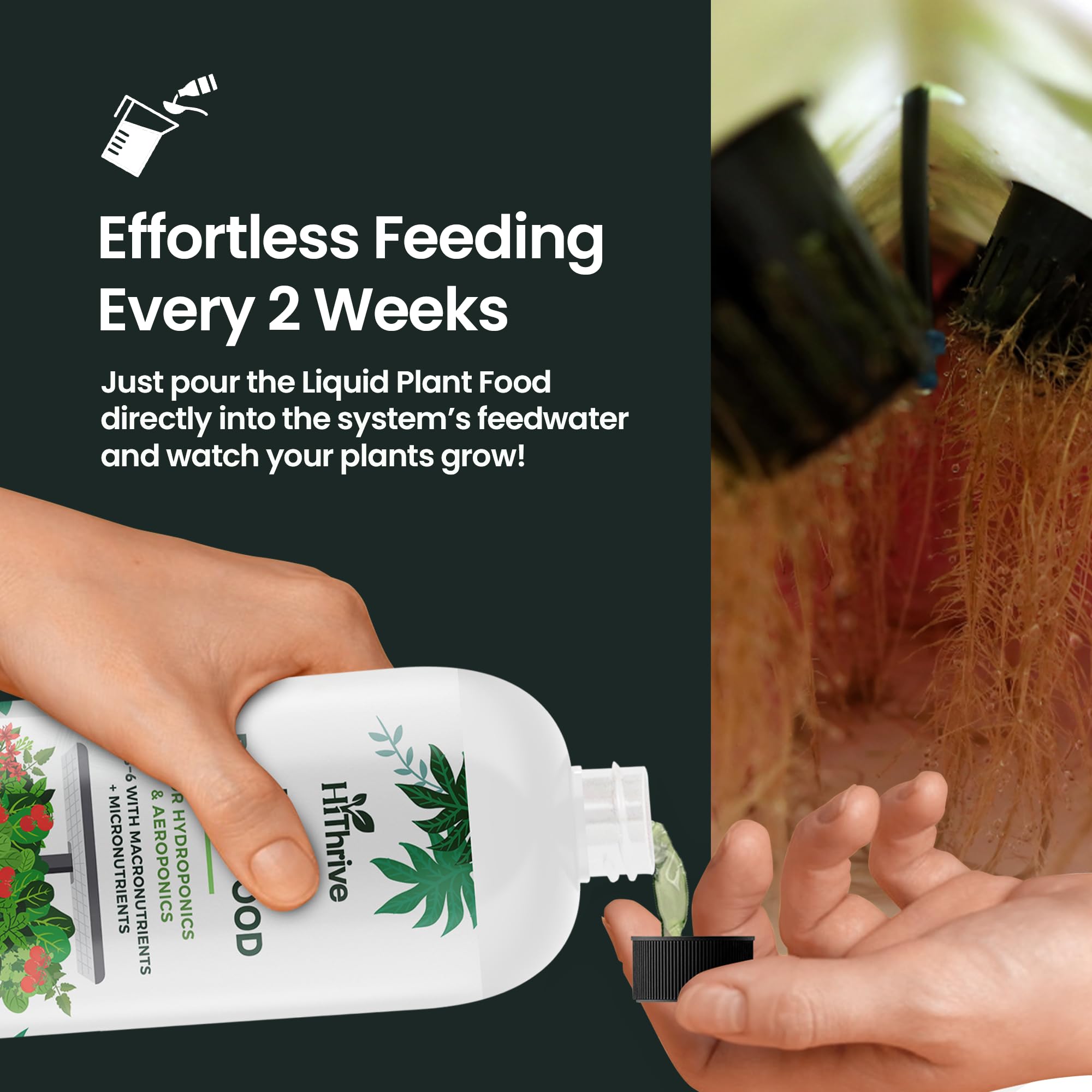HiThrive liquid fertilizer in a hydroponic setup