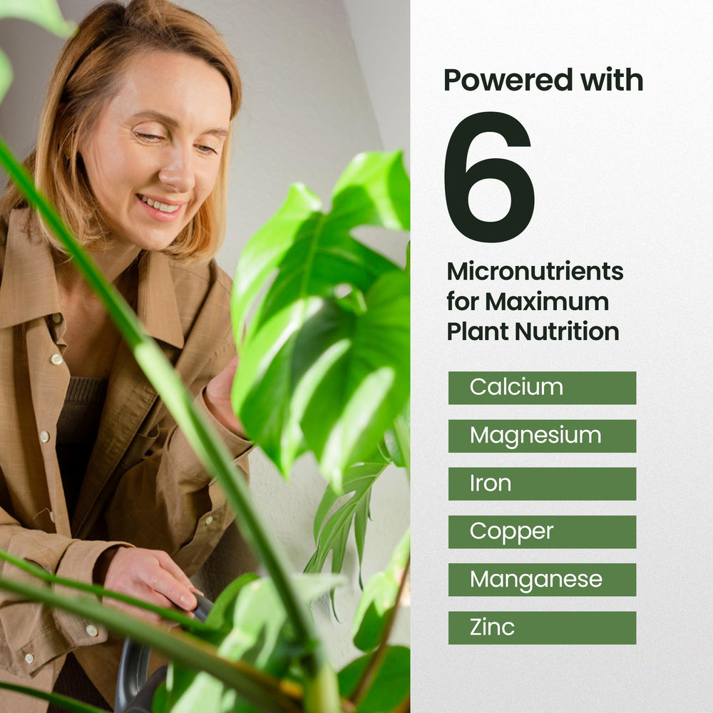 HiThrive Monstera Plant Food mixed in water