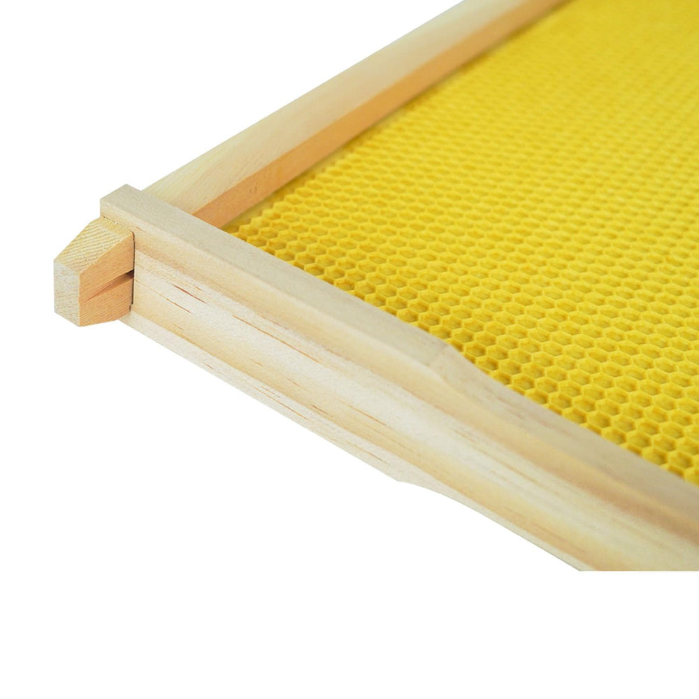 HiveSweet Beehive Frame assembled view