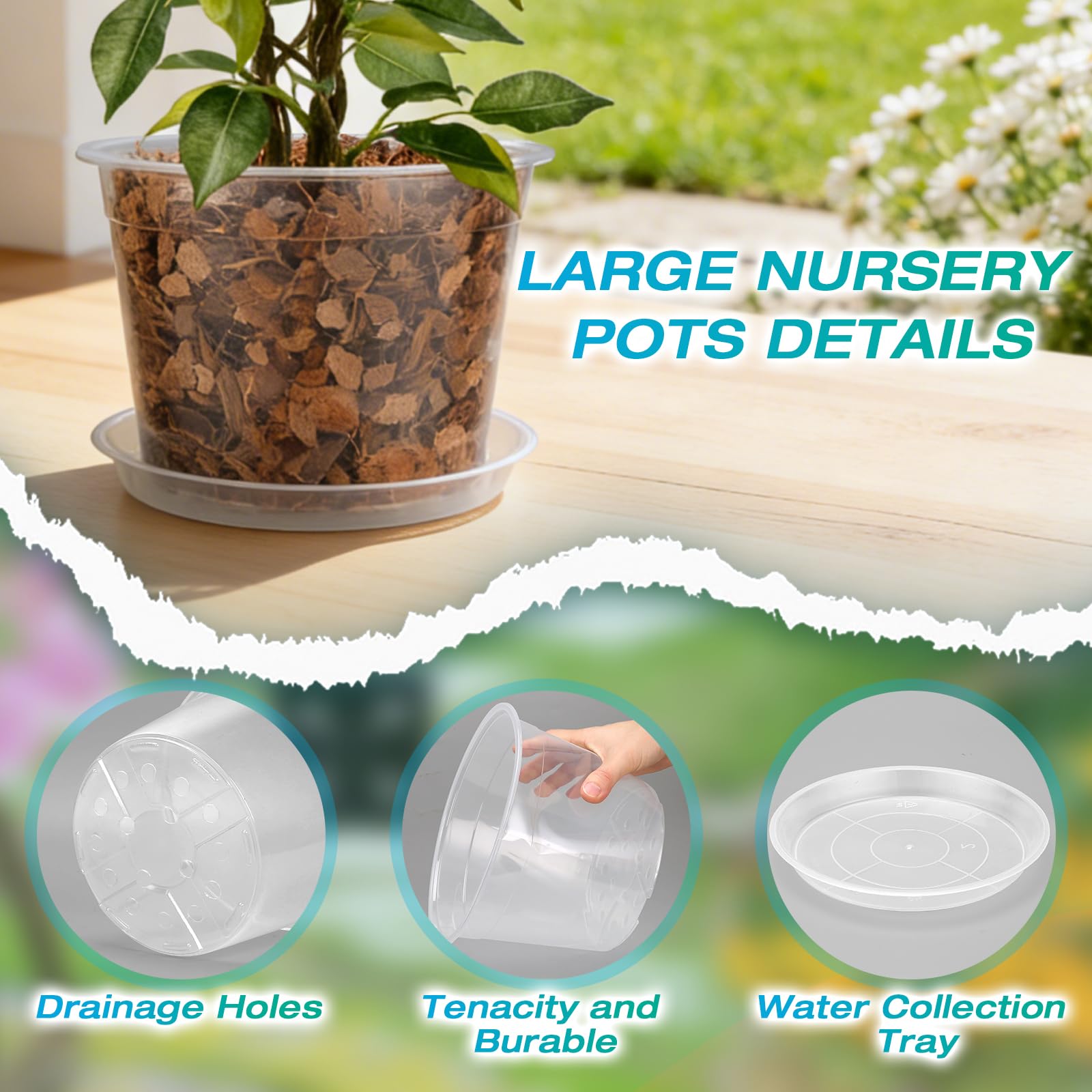 HKKZYT 12-inch clear nursery pot with matching saucer
