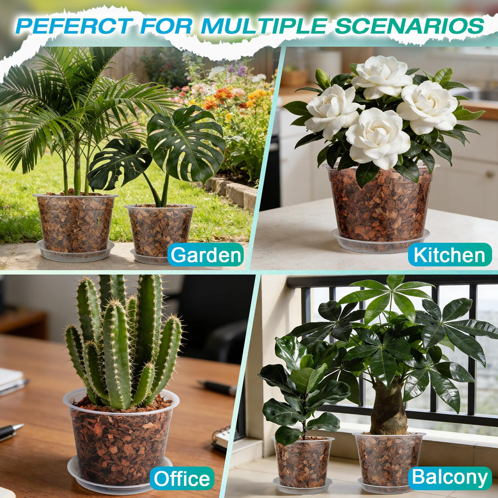 HKKZYT clear nursery pots arranged for display
