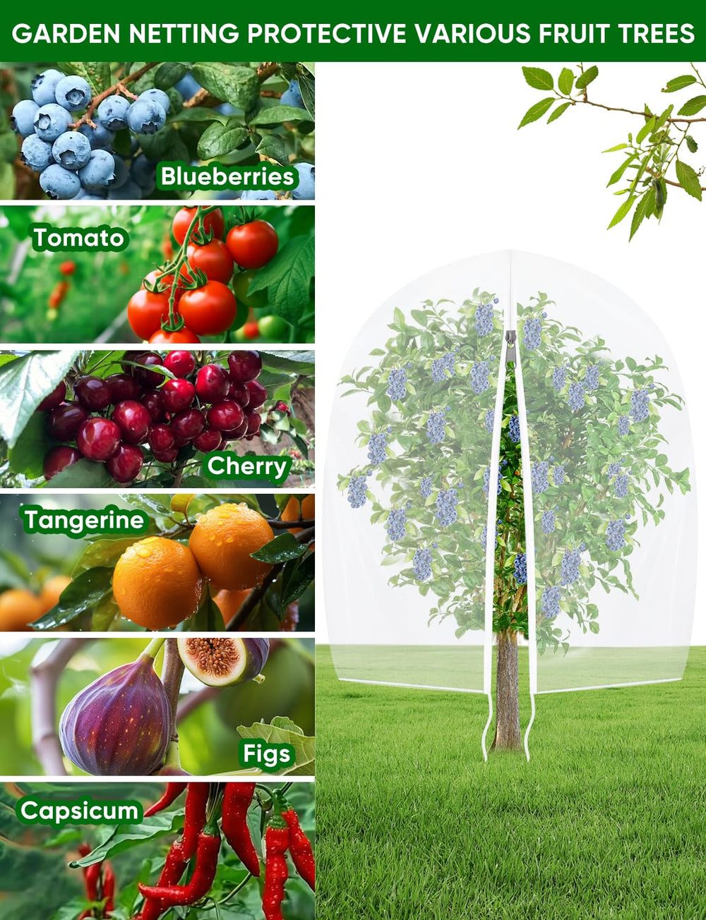 HKZ Fruit Tree Netting in use over a blueberry bush
