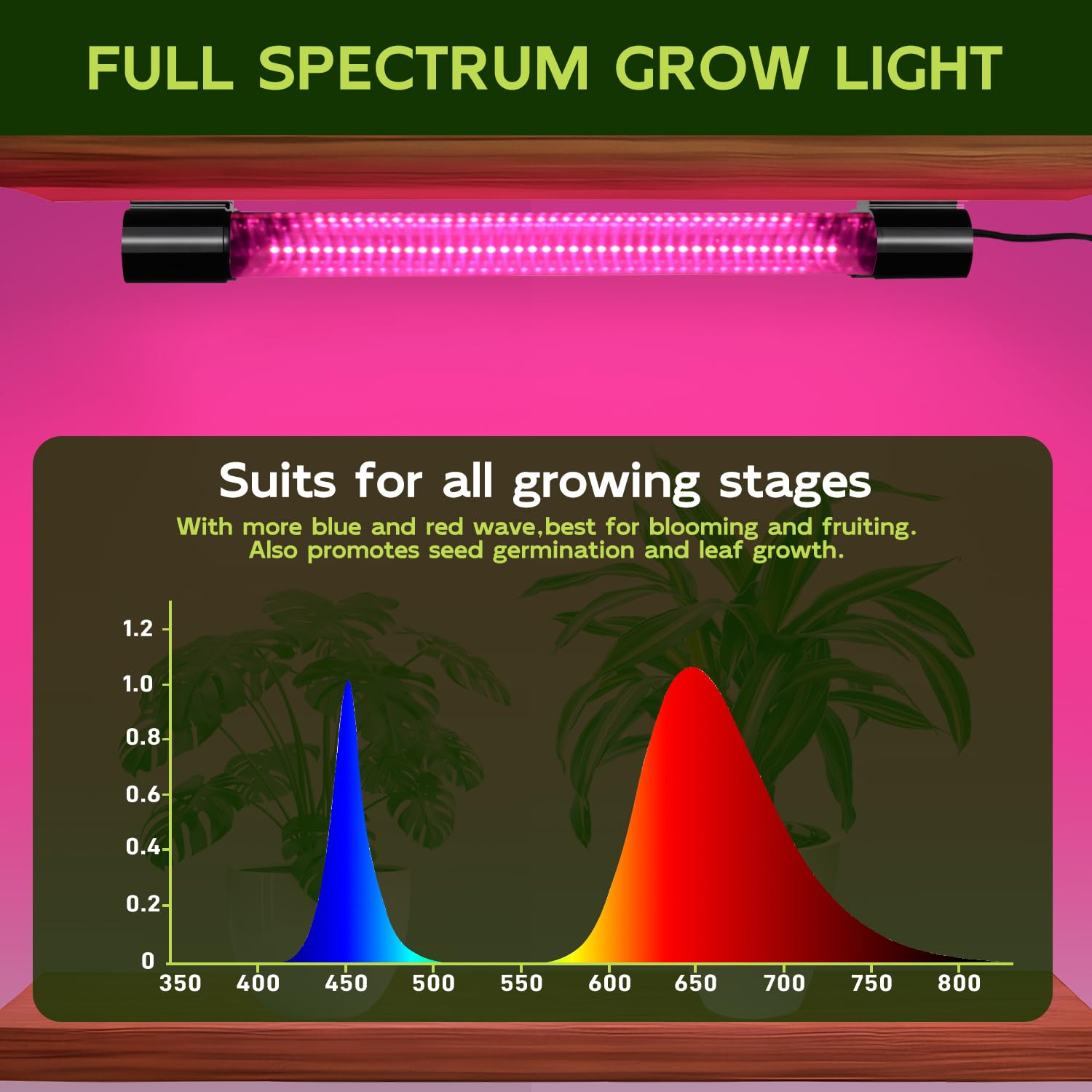 Hlite LED Grow Light linked with additional units for expanded coverage